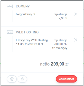 hosting i domena